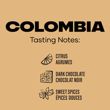 Load image into Gallery viewer, Level Ground Trading Colombia Organic Dark Roast Coffee Whole Bean 300g