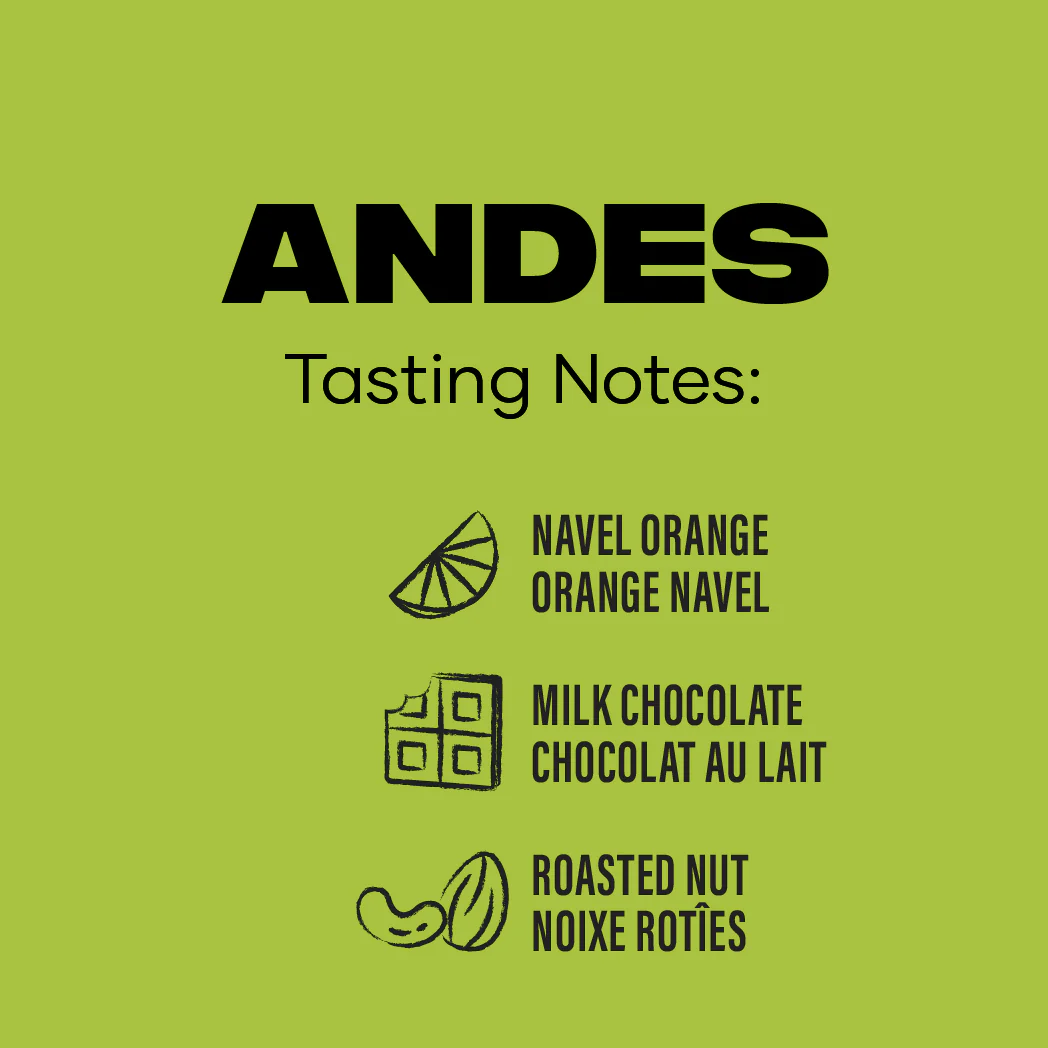Level Ground Trading Organic Andes Mountains Coffee Whole Bean 300g