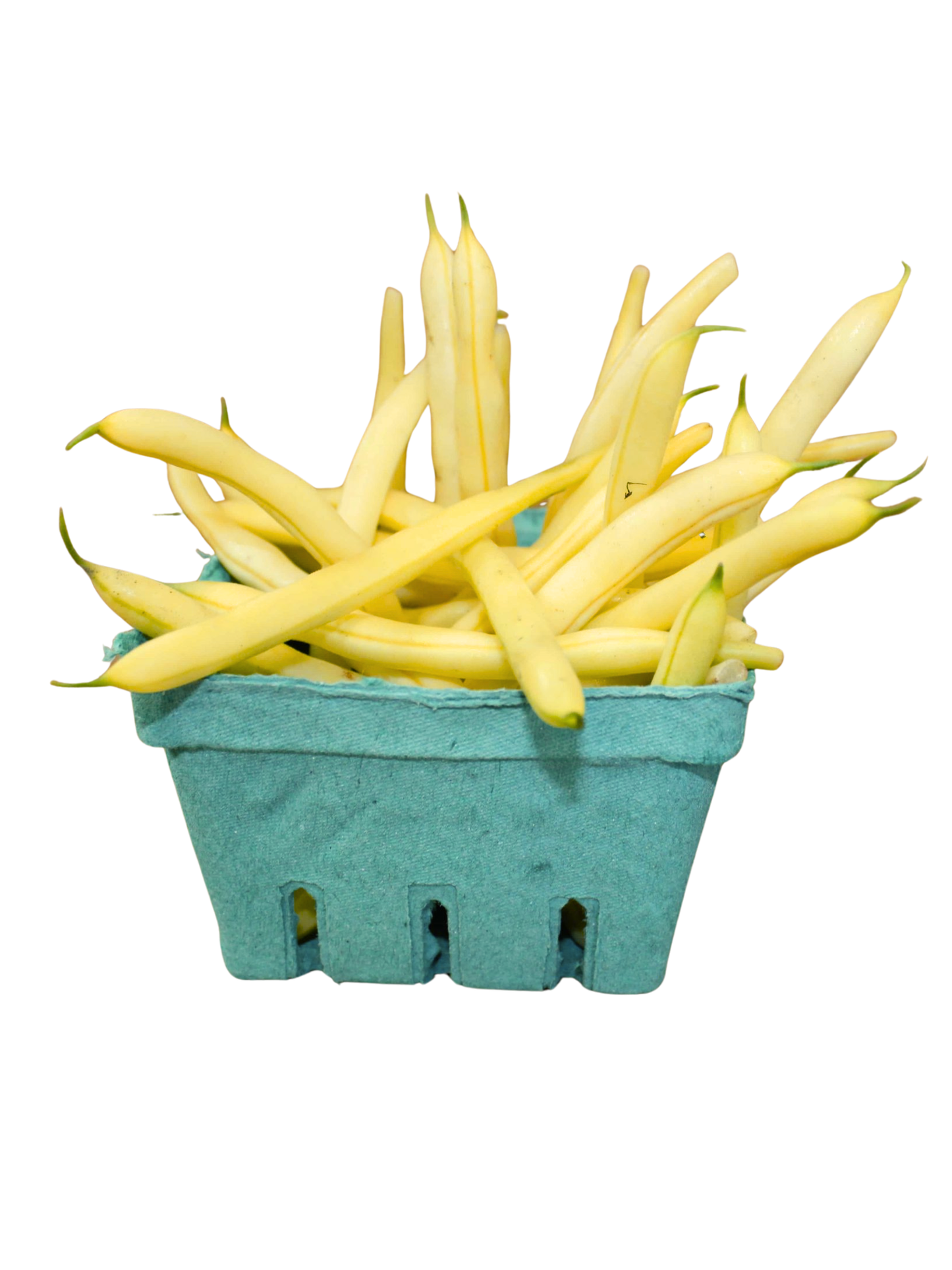 A-OK Gardens Local Organic Yellow Beans 1lb