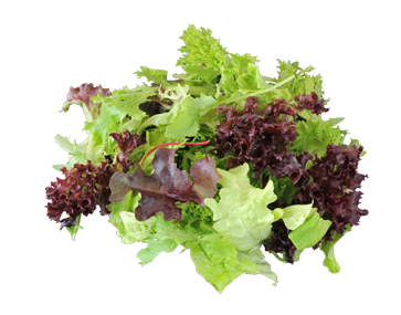 Local by Atta Farms Organically Grown Lettuce Mix 170g