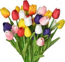 Load image into Gallery viewer, Vanco Farms PEI Assorted Tulips
