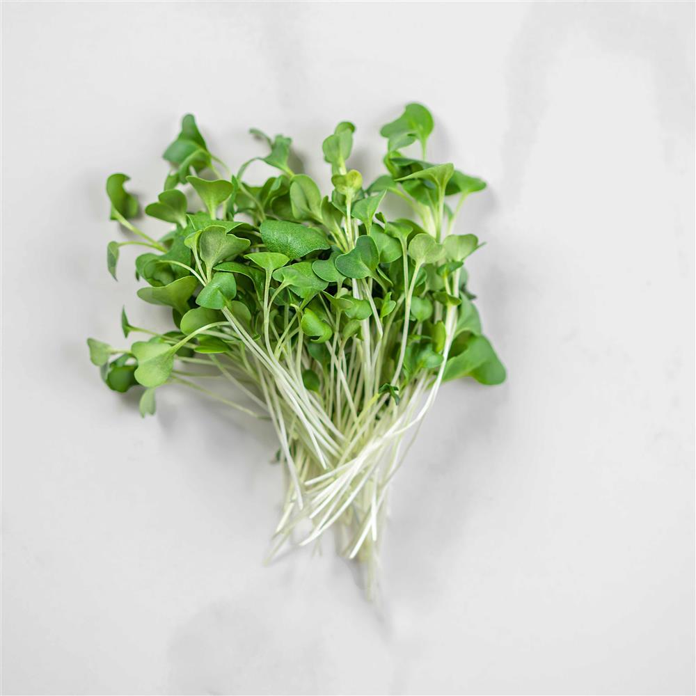 Local By Atta Farms Organically Grown Broccoli Microgreens 60g