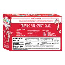 Load image into Gallery viewer, Yum Earth Organic Holiday Mini Candy Canes 30 Pack