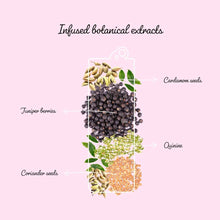 Load image into Gallery viewer, Clever Mocktail Non Alcoholic Pink G and T 355ml