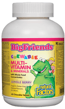 Load image into Gallery viewer, Natural Factors Big Friends Chewable Multivitamin and Minerals Jungle Berry Flavour 60 Chewable Tablets