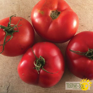 Tourne-Sol Organic Seeds Heirloom Montreal Tasty Tomatoes
