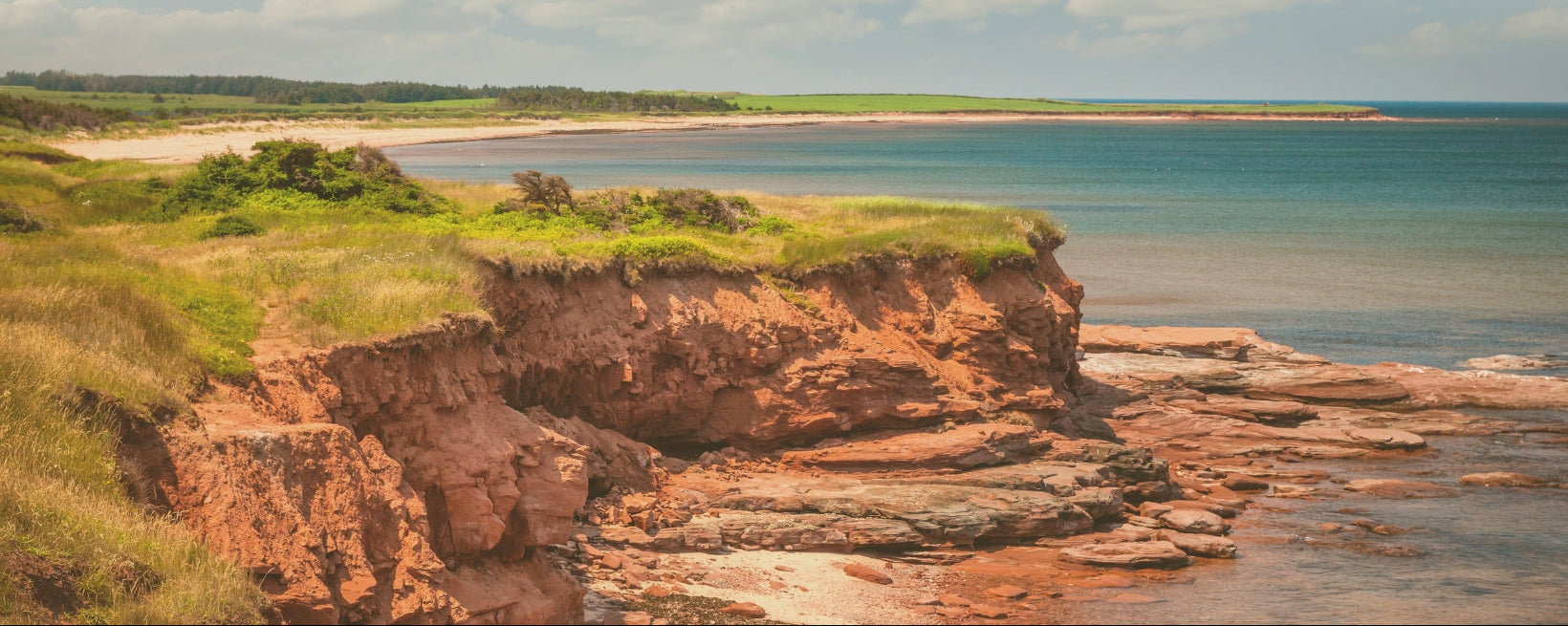 The Root Cellar | PEI's Health Food and Health-Related Product