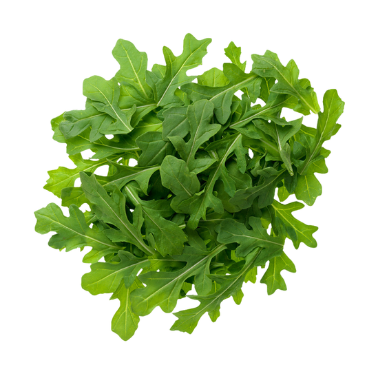 Organic Arugula 5oz