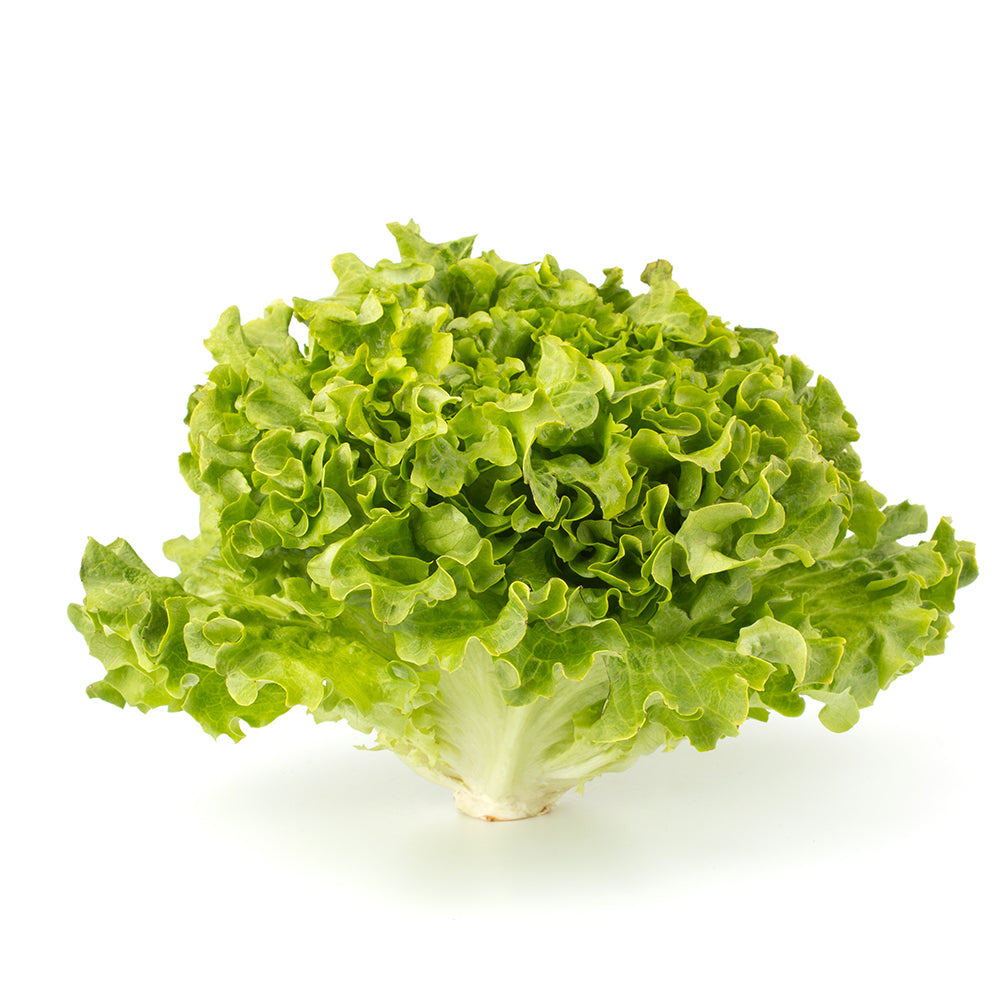 Local By Atta Farms Organically Grown Muir Lettuce 200g