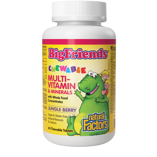 Natural Factors Big Friends Chewable Multivitamin and Minerals Jungle Berry Flavour 60 Chewable Tablets