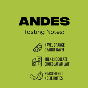 Level Ground Trading Organic Andes Mountains Coffee Whole Bean 300g
