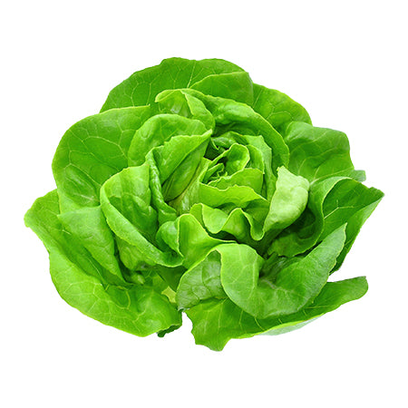 Local By Atta Rex Boston Lettuce 200g