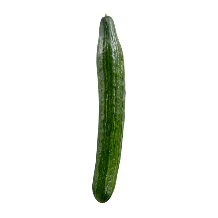 Organic Medium Cucumber