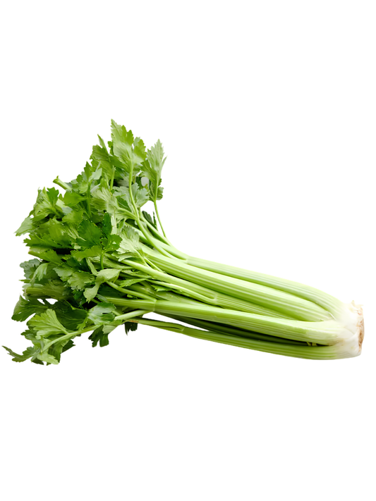 Organic Celery Bunch