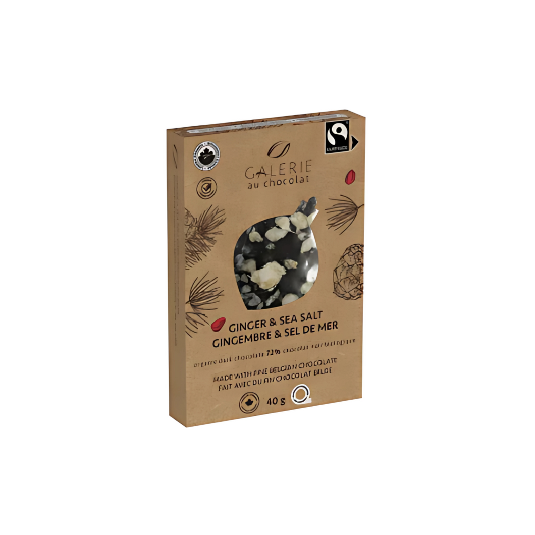 Galerie Fair Trade Dark Chocolate Ginger Salt Mini Bar 40g