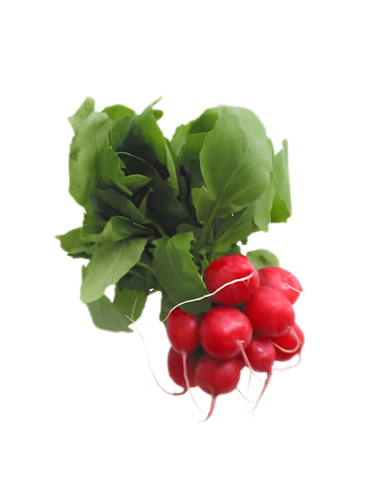A OK Gardens Local Organic Red Radish Bunch