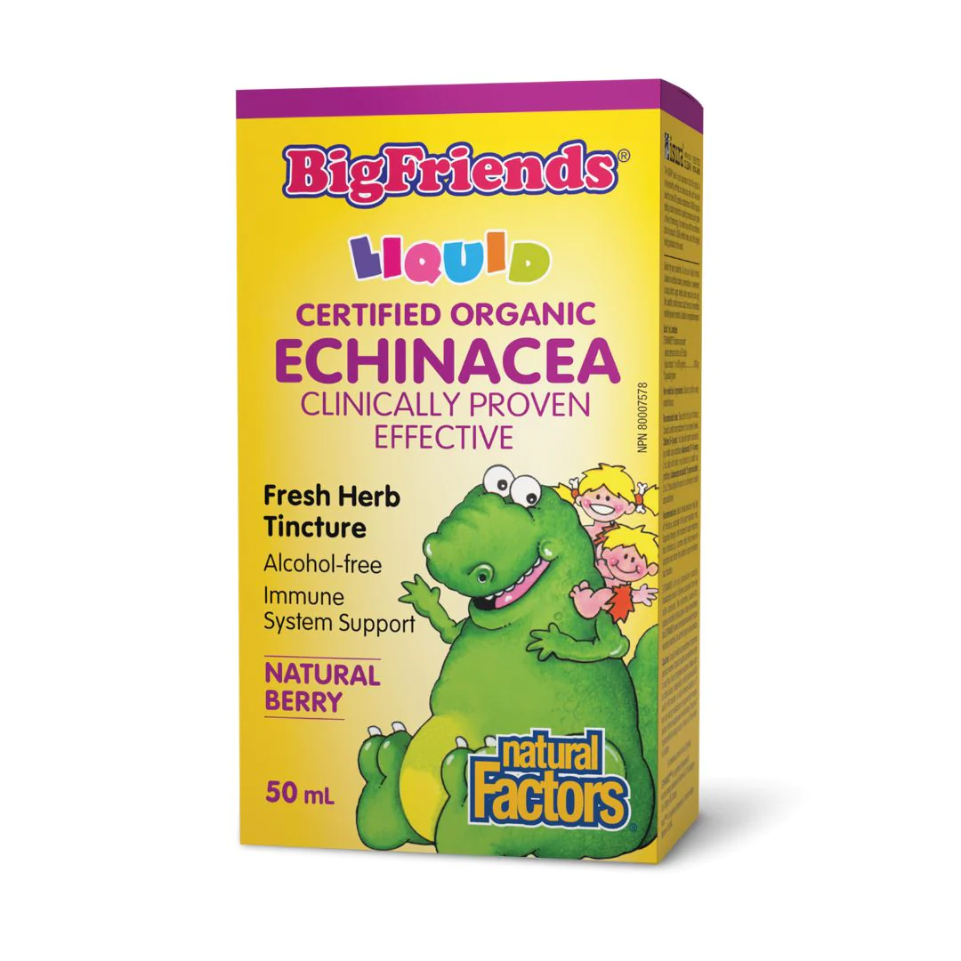 Natural Factors Big Friends Echinacea No Alcohol Tincture Natural Berry Flavour 50ml