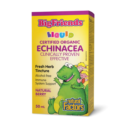 Natural Factors Big Friends Echinacea No Alcohol Tincture Natural Berry Flavour 50ml