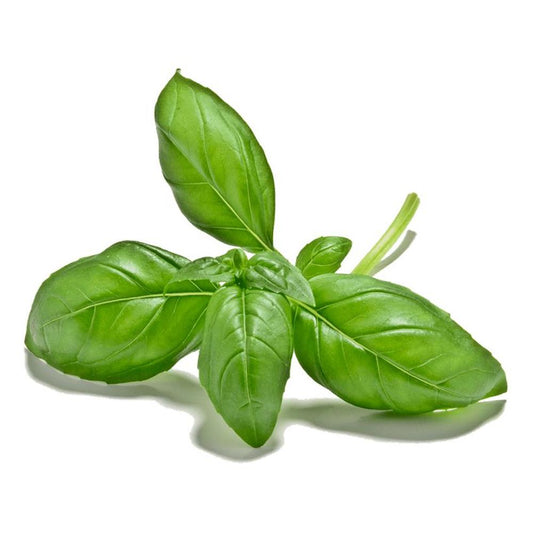 Altantic Grown Organics Basil 28g