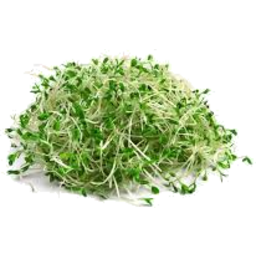 Alfalfa Sprouts 55g