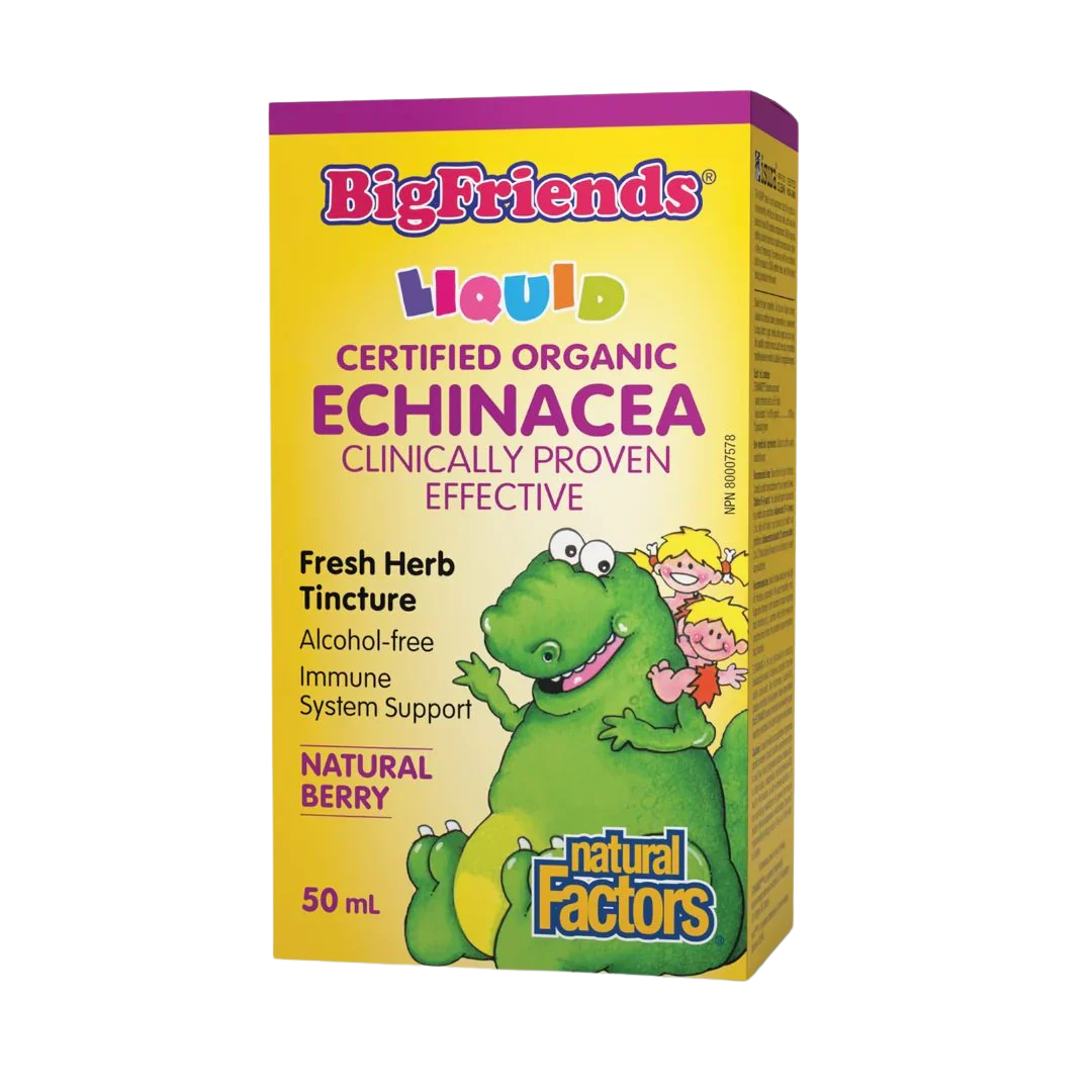 Natural Factors Big Friends Echinacea No Alcohol Tincture Natural Berry Flavour 50ml