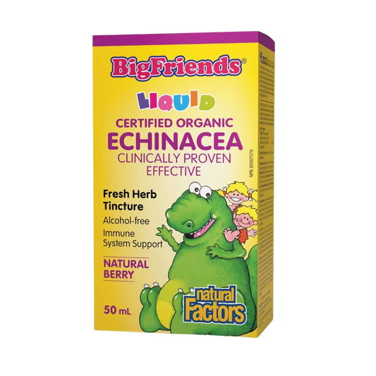 Natural Factors Big Friends Echinacea No Alcohol Tincture Natural Berry Flavour 50ml