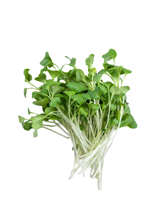 Local By Atta Farms Organically Grown Broccoli Microgreens 60g