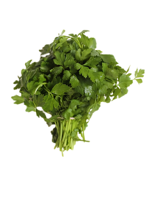 Local Org Cilantro Bunch