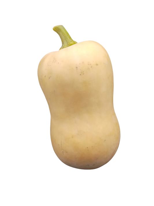 Produce Org Butternut Squash $0.69/100g