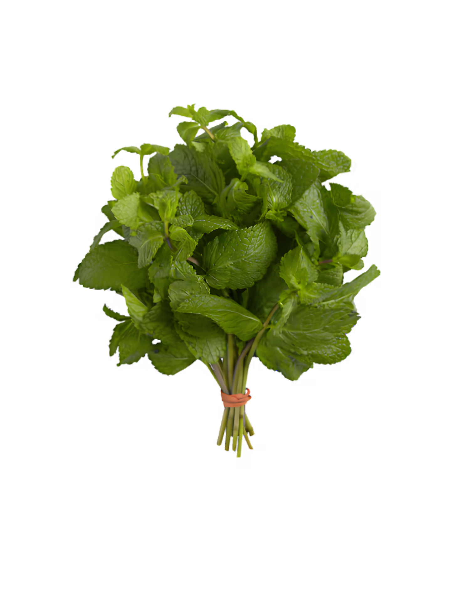 The Burly Farmer Organic Peppermint Bunch 20g