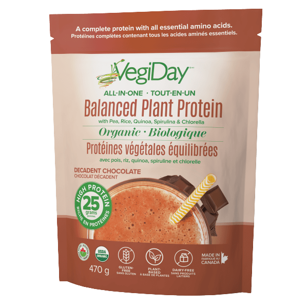 VegiDay Plant Protein Chocolate Bag 470g