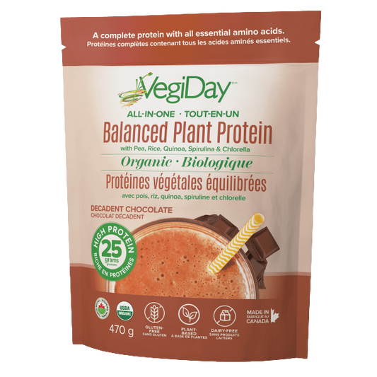VegiDay Plant Protein Chocolate Bag 470g