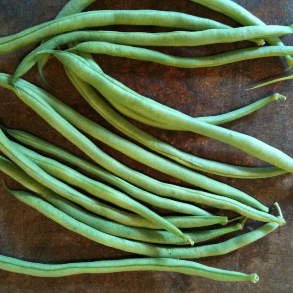 Tourne-Sol Organic Seeds Cobra Green Pole Bean