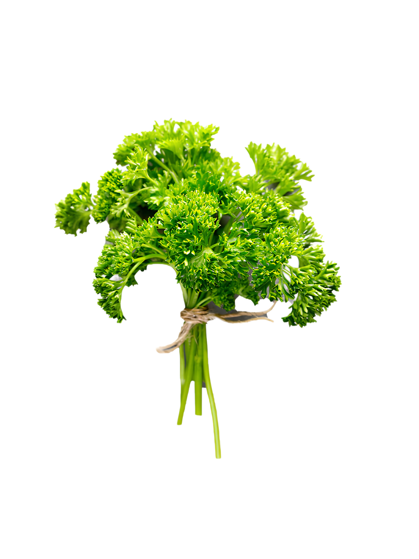 A-OK Gardens Local Organic Curly Parsley Bunch