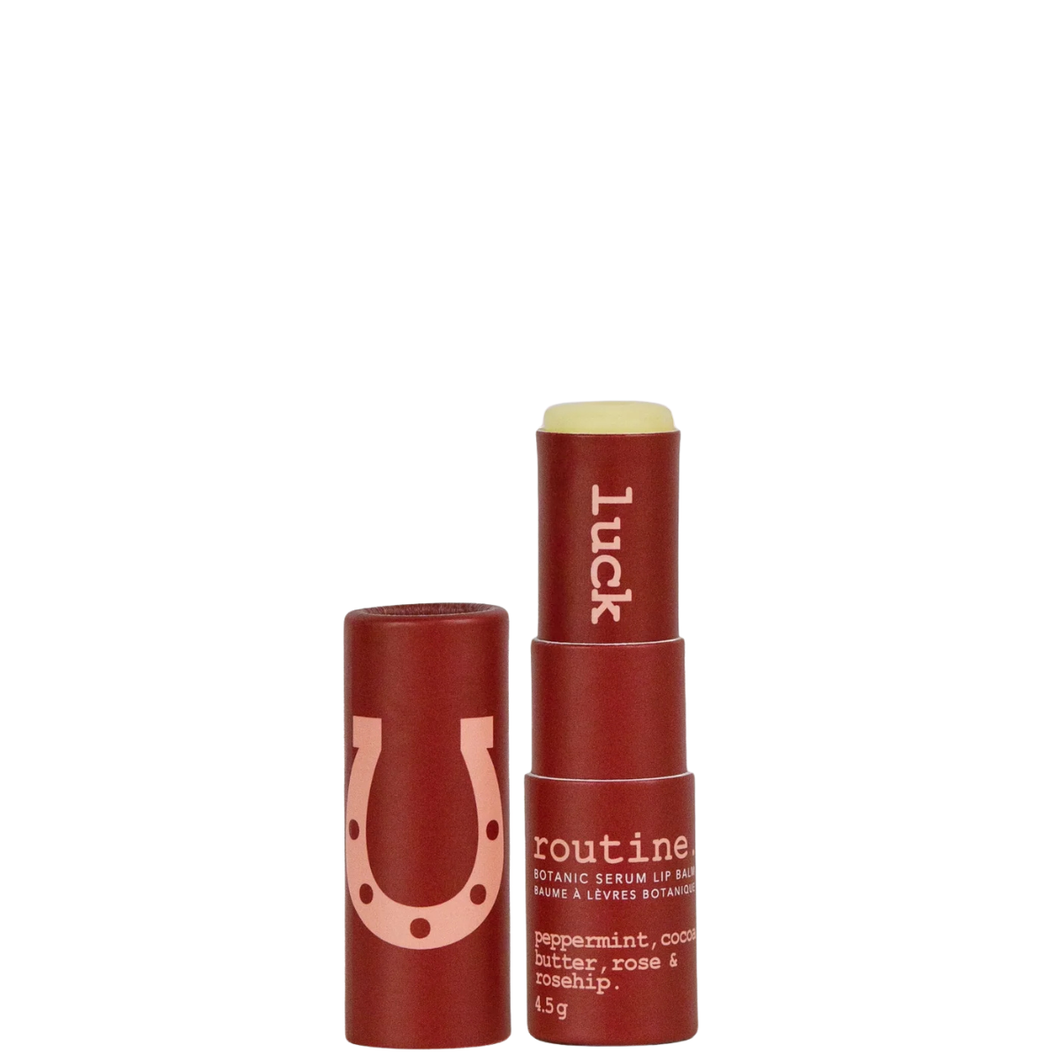 Routine Regular Size Lip Chap 4.5g