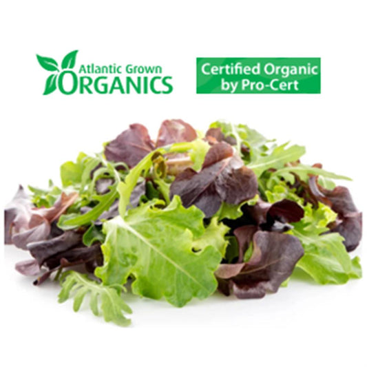 Atlantic Grown Organics Spicy Lettuce .4lb clamshell