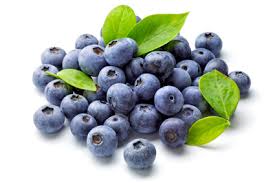 Ella's Frozen Organic Wild PEI Blueberries 400g