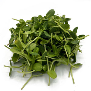 Our Old Island Market Farm Sunflower Shoots Microgreens 100g