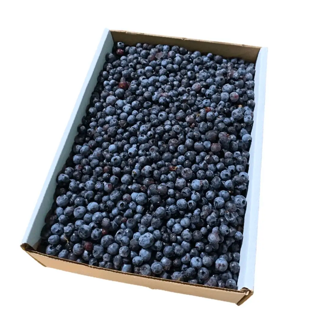 Ella's PEI Organic Wild Frozen Blueberries 5LB
