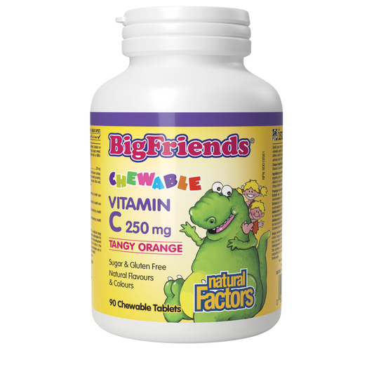 Natural Factors Big Friends Vitamin C 250mg Tangy Orange Flavour 90 Chewable Tablets