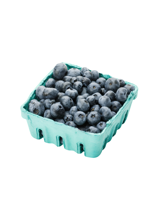 Organic Blueberries 170g