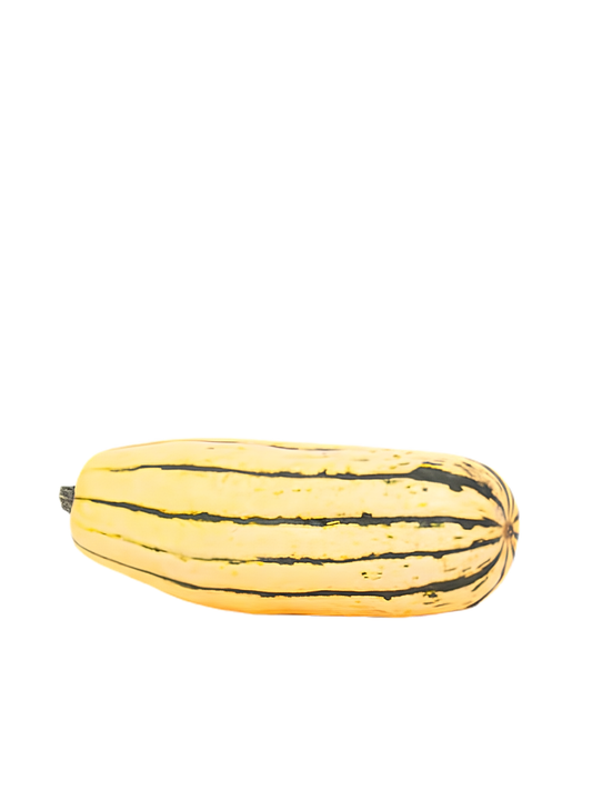 Produce Org Delicata Squash $0.78/100g