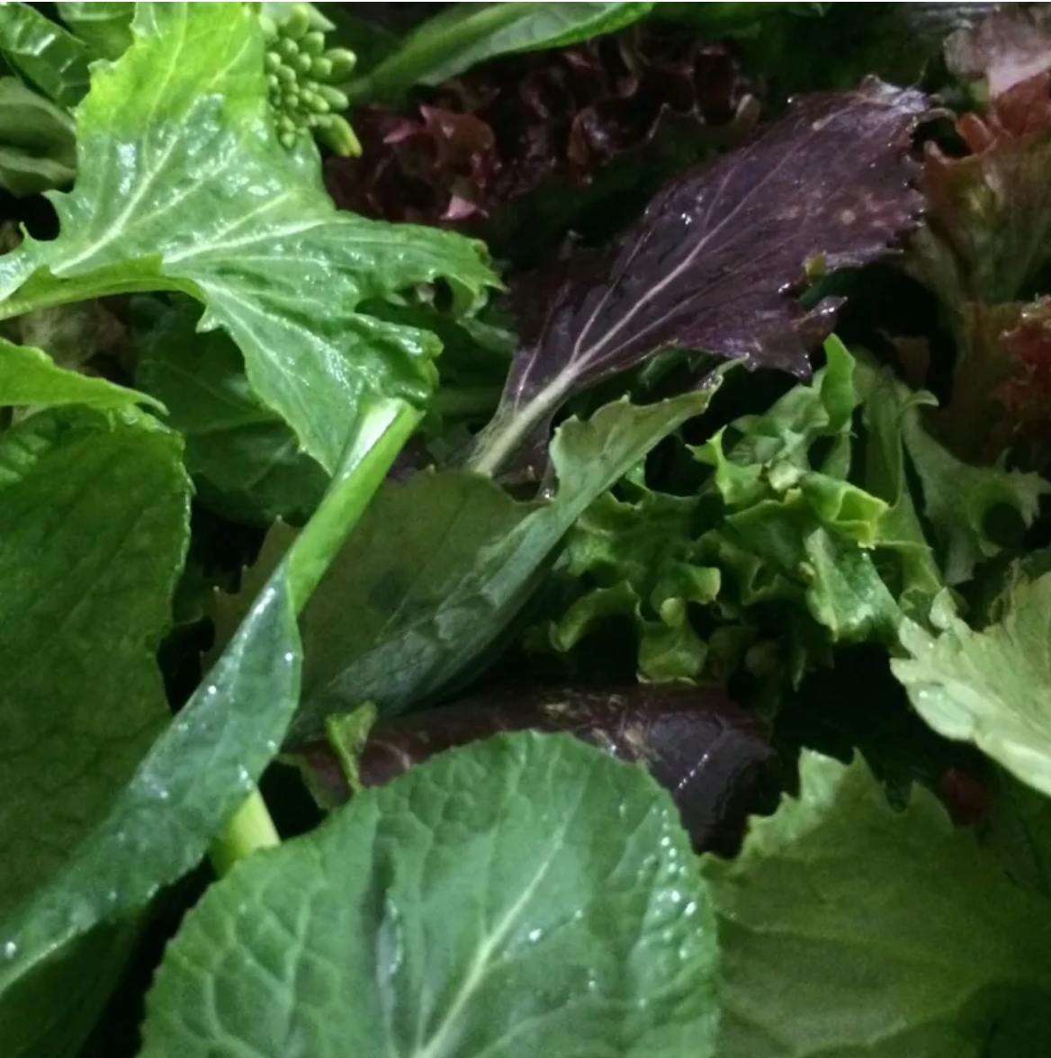 Heart Beet Organics Field Mixed Greens