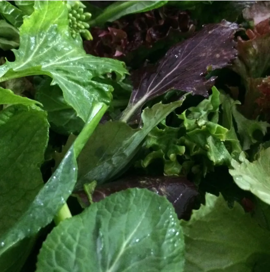 Heart Beet Organics Field Mixed Greens