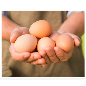 Bowman's Local Organic Eggs 12 Pack