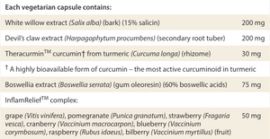 Natural Factors Curcumin Joint Optimizer 60 Vegetarian Capsules