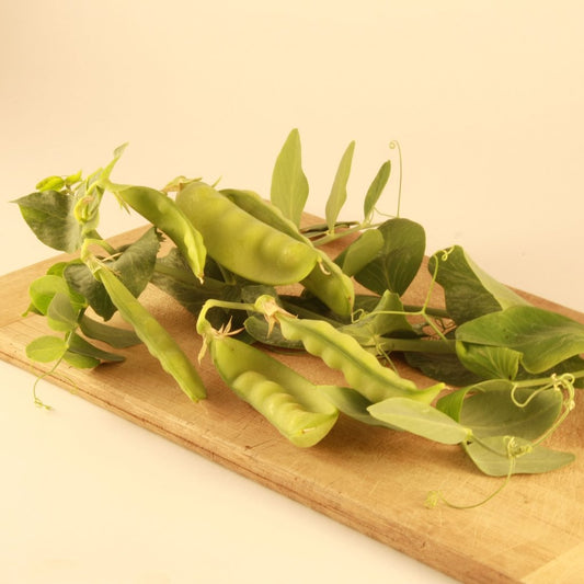Tourne-Sol Organic Seeds Oregon Sugar Pod Snow Peas