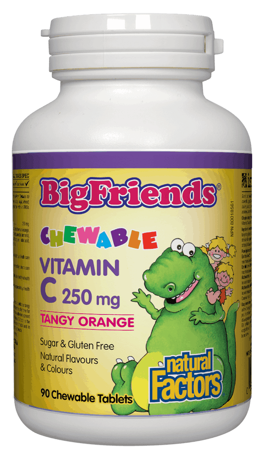 Natural Factors Big Friends Vitamin C 250mg Tangy Orange Flavour 90 Chewable Tablets