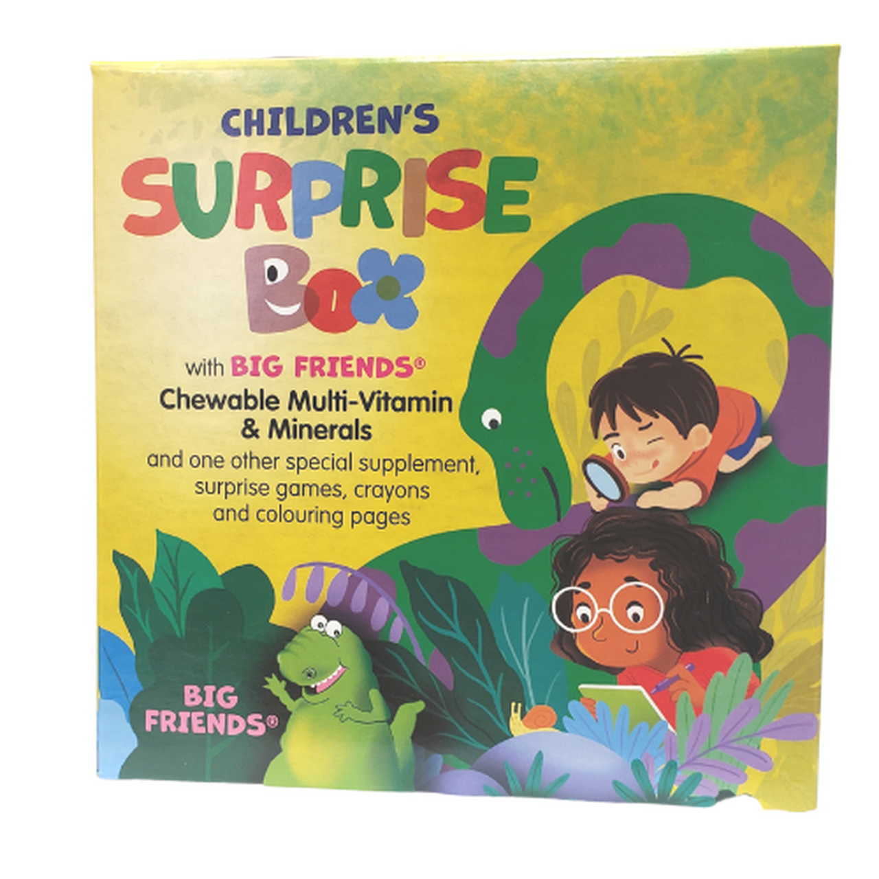 Natural Factors Big Friends Children's Surprise Box