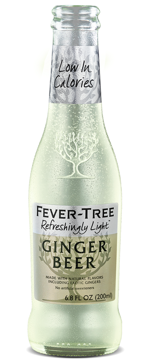 FT Ginger Beer Light 200ml